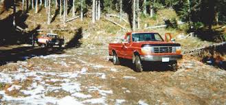 Image result for Forest Green 1995 Fleet