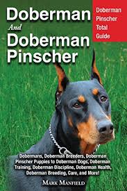 Doberman And Doberman Pinscher Doberman Pinscher Total Guide Dobermans Doberman Breeders Doberman Pinscher Puppies To Doberman Dogs Doberman