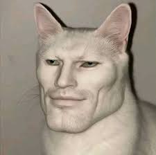 Wuthering Waves Special Record