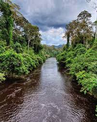 Sungai serawak terletak di barat daya negara bagian serawak, malaysia. Mengenali Sungai Sungai Di Malaysia Yang Fenomenal Befree Blog