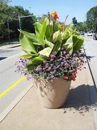Finally a planter that works for you,the gardener who wants more time. Pin On Flower Pot