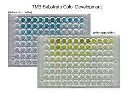 Cell Based Elisa Kits Lsbio
