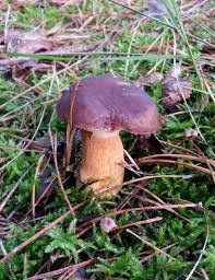 We did not find results for: à¹à¸®à¸Šà¹à¸— à¸ Maslaki à¹ƒà¸™à¸—à¸§ à¸•à¹€à¸•à¸­à¸£