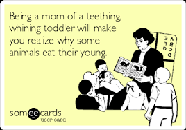Being A Mom Of A Teething Whining Toddler Will Make You Realize Why Some Animals Eat Their Young Baby Ecard