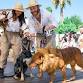Bark in the Park: Howl-o-ween event image