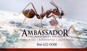 Expert recommended top 3 pest control companies in west palm beach, florida. Ambassador Pest Management 1401 Forsythe Rd West Palm Beach Fl Pest Control Mapquest