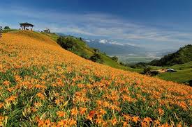 來源 台灣觀光年曆 熱連結 natural landmarks nature farmland