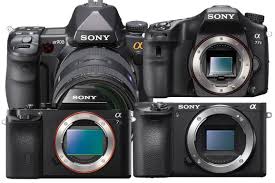 Sony Camera Technology Guide Dslr Vs Slt Vs Mirrorless