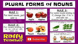 What does plural noun mean? Regular Plural Nouns Perfect For Everybody Youtube
