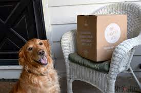 The Farmer S Dog Review Custom Food Delivered Straight To Your Door Dog Subscription Dogs Dog Food Delivery