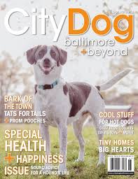 Baltimore animal rescue and care shelter 301 stockholm st. Citydog Baltimore Spring 2018 Issue By Citydog Magazine Issuu