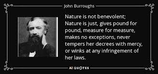 'an angelo for claudio, death for death!. John Burroughs Quote Nature Is Not Benevolent Nature Is Just Gives Pound For