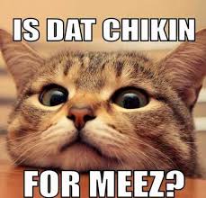 Cats are super cute and funny. Cat Memes Clean Funny Viral Memes