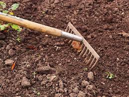 Top 20 Vital Garden Tools Every Gardener Should Have Florgeous