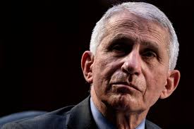 The emails were revealed through foia requests made by the washington post and buzzfeed. Fauci S 2 000 Emails A Day Show How Little U S Officials Knew In The Early Days Of The Covid Pandemic