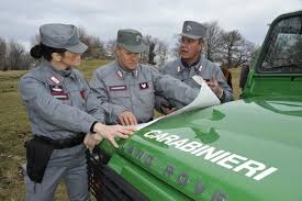 I carabinieri forestali hanno provveduto al suo affidamento: Accorpamento Della Forestale Ai Carabinieri Nuova Questione Di Legittimita Alla Consulta Difesa Online