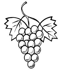coloriage grappe de raisin le blog ludovica pochoirs imprimables gratuits glace