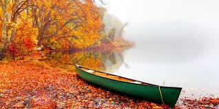 Image result for autumn leaves images