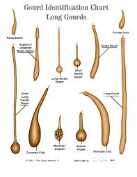 fine wabanaki art by morningstar gourd chart types