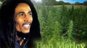 root rock regge