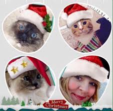 Merry Christmas wishes from Skin Love