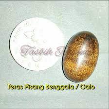 Al uqba permata teras kayu dan herba kesihatan. Tasbih Pelangi Teras Pisang Benggala Galo
