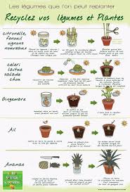 Jardiner En Appartement Potager Interieur Et Faire Pousser Des Legumes En 2020 Potager Interieur Jardinage Potager Replanter