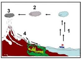 Evaporasi atau penguapan adalah proses perubahan molekul di dalam keadaan cair (contohnya air) dengan spontan menjadi gas (contohnya uap air). Evaporasi Adalah Brainly Evaporasi Adalah Brainly Tuliskan Pengertian Dari Evaporasi Brainly Co Id Air Dengan Spontan Menjadi Gas Contohnya Uap Air Welcome To The Blog Lalu Muncul Lah Sebuah Pertanyaan