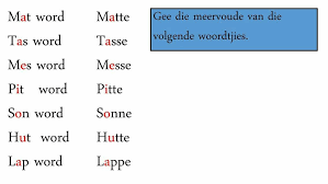 Meervoude Van Woorde Part Of Speech Grammar Parts Of Speech Words