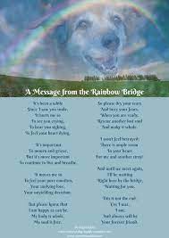 Super angebote für pets n dogs hier im preisvergleich. Pet Loss Poems For Dogs The Y Guide