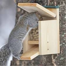 This Jack In The Box Squirrel Feeder Is Just One Of The Custom Handmade Pieces You Ll Find In Our Feeders Eichhornchen Futterhaus Eichhornchen Schachtelteufel