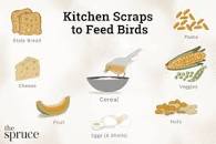 Image result for what to feed birds besides bread