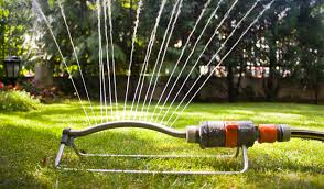 Maurer recommends watering clay soils once a week and sandy soils about every three days. Krl Tree Service Arborist Calgary Tree Pruning Calgary Watering Calgary Trees