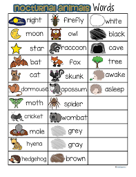 Nocturnal Animals Vocabulary Words List Free Nocturnal Animals Kindergarten Nocturnal Animals Nocturnal Animals Activities