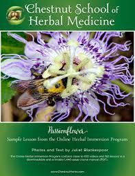 Pin By Jenny Bachman On Earth Medicine Herbalism Herbal Medicine Passion Flower