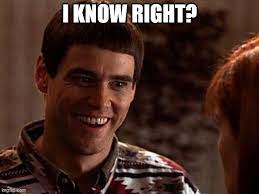 Dumb And Dumber Memes Gifs Imgflip