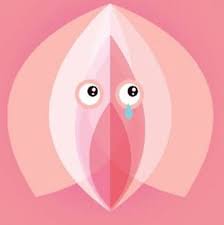 La vulvodinia è una condizione clinica che può essere molto invalidante e compromettere sensibilmente la sfera psicologica della paziente Vulvodinia Brasil Posts Facebook