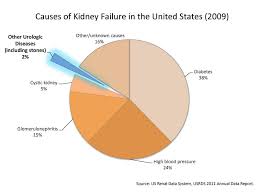 Acute renal failure often causes no symptoms that the patient can notice. Straight No Chaser Kidney Renal Failure Jeffrey Sterling Md