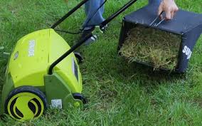 Check spelling or type a new query. 9 Best Lawn Dethatchers To Rid Your Lawn Of Thatch