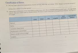 solved classification of bones 2 the four major anatomic