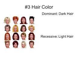 1 Skin Pigment Dominant Pigmented Skin Eyes Hair Pp Or Pp Recessive Albino No Pigment Pp Ppt Download