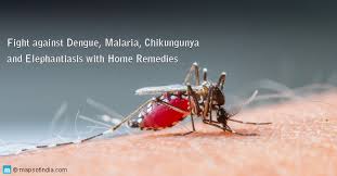 Then, switch your phone or tablet light on and place. Homemade Mosquito Repellents How To Keep Mosquitoes Away India