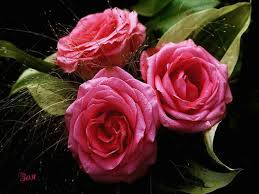 Maybe you would like to learn more about one of these? Gifs Of Roses Beautiful Bouquets Of Different Colors 60 Pieces