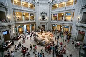 Smithsonian National Museum Of Natural History Picture In Washington D C Smithsonian Smithsonian Museum Smithsonian Museum Washington Dc