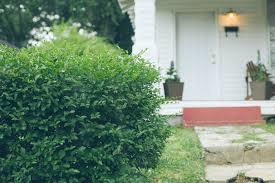 Sugar and spice boutique and more inc is an alabama domestic corporation filed on february 5, 2016. Foodie Travels Florence Alabama Nashville Road Trip Foodal
