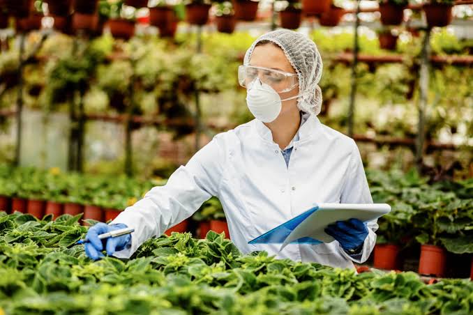 Maestría en Ciencia de los Alimentos