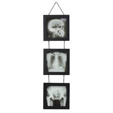 Ashland Xray Skeleton Wall Hanging 10 49 Halloween Decor From Michaels Com Halloween Decorations Decor Halloween Diy Crafts