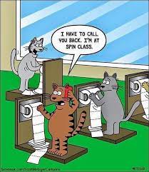 The Bent Pinky I Have To Call You Back I M At Spin Class Funny Cartoon Memes Funny Cartoons Funny Cat Memes