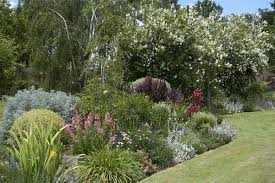 Lush Gardenscape Australian Garden Australian Native Garden Country Gardening