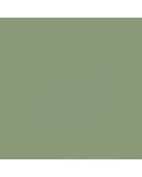 Image result for Medium Lime 1975 GM